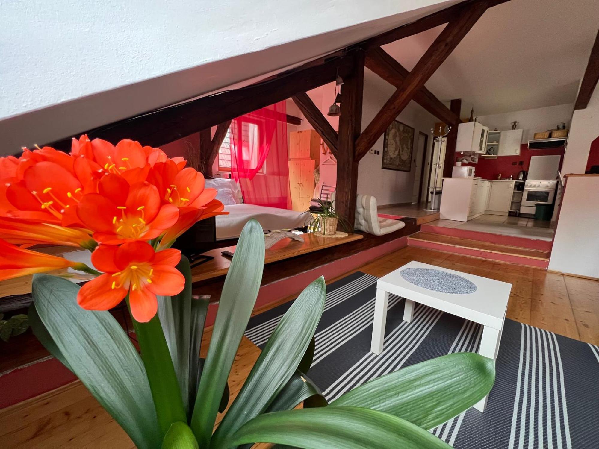 Apartman Galant Apartment Cesky Krumlov Exterior photo